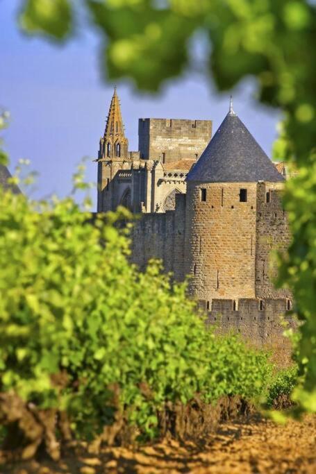 Domaine Villecarla Villedubert 외부 사진